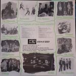 2nd Psycho Attack Over Europe LP Plak (Psychobilly) - Görsel 5
