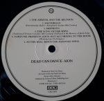 Dead Can Dance – Aion LP Plak - Görsel 3