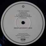 Dead Can Dance – Aion LP Plak - Görsel 4