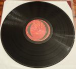 A Perfect Circle – Phoenix Arise LP Plak - Görsel 4