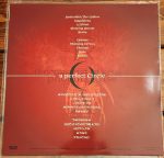 A Perfect Circle – Phoenix Arise LP Plak - Görsel 2