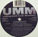 Chestnut – Pot Of Gold 2x12'' Maxi Single Plak (House) - Görsel 3