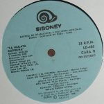 Miriam Bayard Y Habana Son – La Mulata Caribeña LP Plak (Afro-Cuban) - Görsel 4