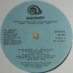 Miriam Bayard Y Habana Son – La Mulata Caribeña LP Plak (Afro-Cuban) - Görsel 3