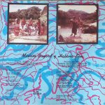 Miriam Bayard Y Habana Son – La Mulata Caribeña LP Plak (Afro-Cuban) - Görsel 2