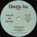 Element X / Stevie Colt And Easy Rock – She Said She Could Dance / Never Die 12'' Maxi Single Plak (Electro) - Görsel 2
