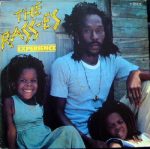 The Rasses – Experience LP Plak