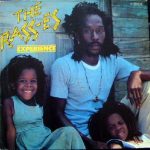 The Rasses – Experience LP Plak