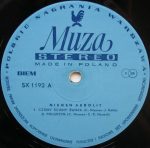 Niemen – Niemen Aerolit LP Plak (Polish Prog Rock) - Görsel 3