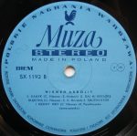 Niemen – Niemen Aerolit LP Plak (Polish Prog Rock) - Görsel 4