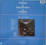 C.C. Catch – Heartbreak Hotel ·Room 69 - Mix·12'' Maxi Single Plak - Görsel 2