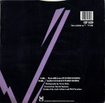 Vision – Tears Idle Tears 12'' Maxi Single Plak - Görsel 2