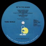 Third World – 96° In The Shade LP Plak - Görsel 4