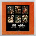 Third World – 96° In The Shade LP Plak - Görsel 2