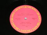 TUBE – Summer Dream 12'' Maxi Single Plak - Görsel 4