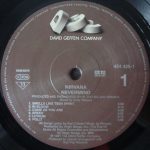 Nirvana – Nevermind LP Plak - Görsel 3