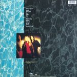 Nirvana – Nevermind LP Plak - Görsel 2