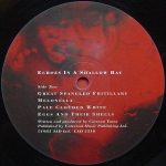 Cocteau Twins – Tiny Dynamine / Echoes In A Shallow Bay LP Plak - Görsel 4