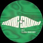 Sonic Sound – I'm Alive 12'' Maxi Single Plak (Electronic) - Görsel 2
