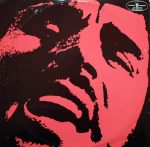 Niemen Enigmatic – Niemen Enigmatic 2LP Plak (Polish Prog Rock) - Görsel 2