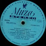 Niemen Enigmatic – Niemen Enigmatic 2LP Plak (Polish Prog Rock) - Görsel 4