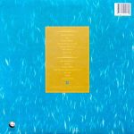 XTC – Skylarking LP Plak - Görsel 2