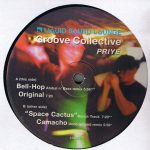 Groove Collective – Priye 12'' Maxi Single Plak (Future Jazz)