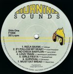 It's Reggae Time LP Plak - Görsel 3