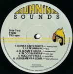 It's Reggae Time LP Plak - Görsel 4