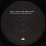 Autechre – Amber 2LP Plak - Görsel 4