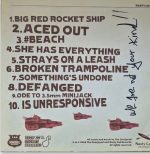 The Overjoyed – Aced Out LP Plak (İmzalı) - Görsel 2