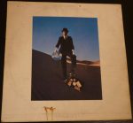 Pink Floyd – Wish You Were Here LP Plak - Görsel 2