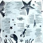 Thompson Twins – Big Trash LP Plak - Görsel 6