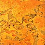 Jon Anderson – The Promise Ring CD - Görsel 4