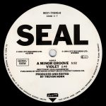 Seal – Future Love EP 12'' Maxi Single Plak (Early House) - Görsel 4