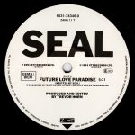 Seal – Future Love EP 12'' Maxi Single Plak (Early House) - Görsel 3