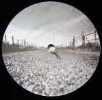 Anne Clark – The Haunted Road (Travelogue Mixes 12'' Maxi Single Plak - Görsel 3