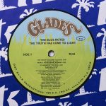 The Blue Notes – The Truth Has Come To Light LP Plak - Görsel 3