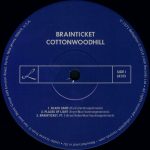 Brainticket – Cottonwoodhill LP Plak - Görsel 3