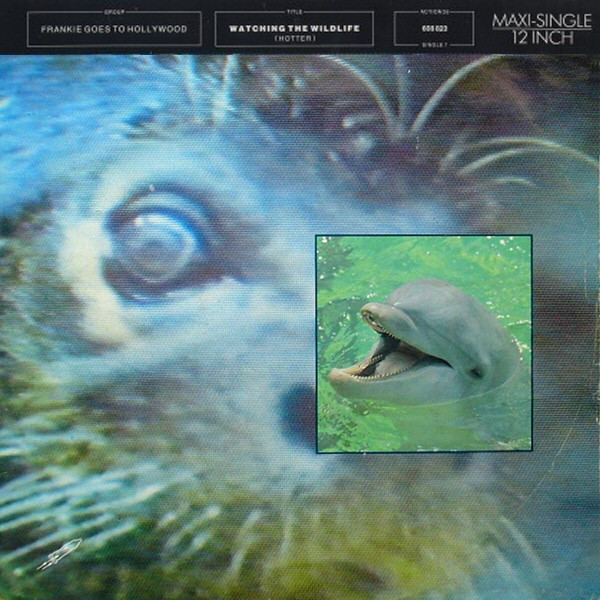 Frankie Goes To Hollywood – Watching The Wildlife (Hotter) 12'' Maxi Single Plak