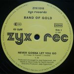 Band Of Gold – This Is Our Time 12'' Maxi Single Plak - Görsel 4