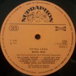 Petra Janů – Motel Rest LP Plak - Görsel 4