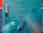 Moby – Everything Is Wrong CD (House) - Görsel 2