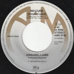 Annabel Lamb – Riders On The Storm 45lik Plak - Görsel 4