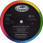 Missing Persons – Color In Your Life LP Plak - Görsel 3