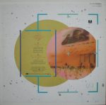 Duran Duran – The Wild Boys 12'' Maxi Single Plak - Görsel 2