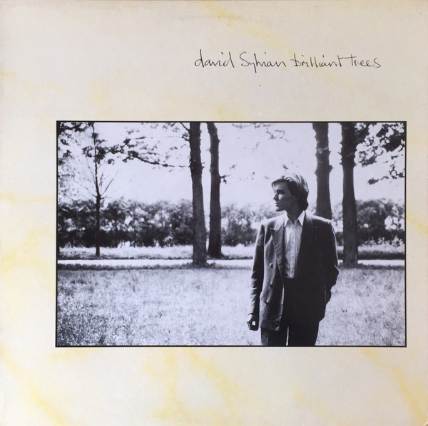 David Sylvian – Brilliant Trees LP Plak