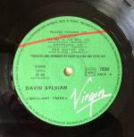David Sylvian – Brilliant Trees LP Plak - Görsel 3