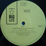 Yazz – Treat Me Good 12'' Maxi Single Plak (Early House) - Görsel 3