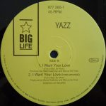 Yazz – Treat Me Good 12'' Maxi Single Plak (Early House) - Görsel 4